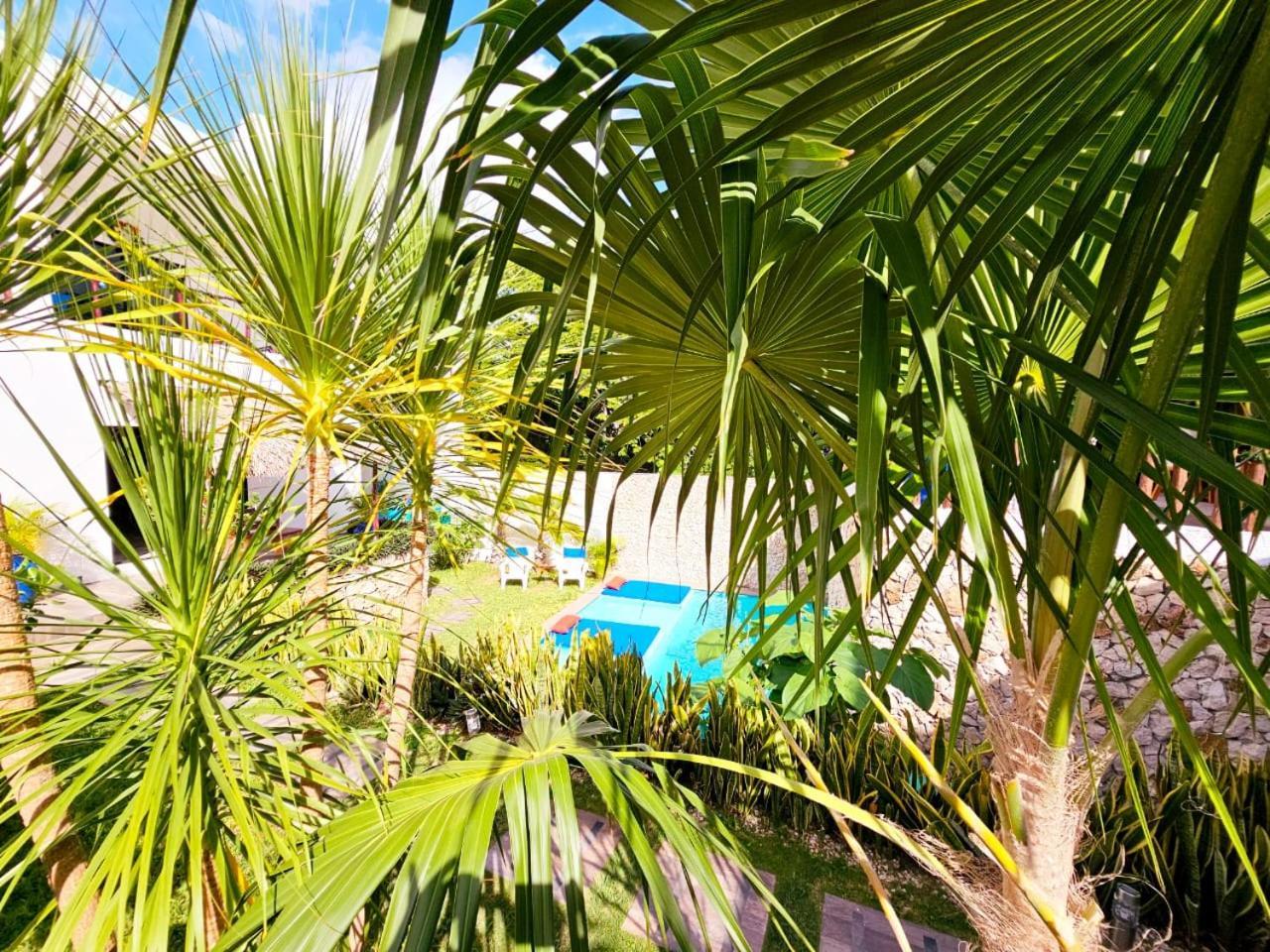 Mayan Majesty Boutique Hotel Βαγιαδολίδ Εξωτερικό φωτογραφία
